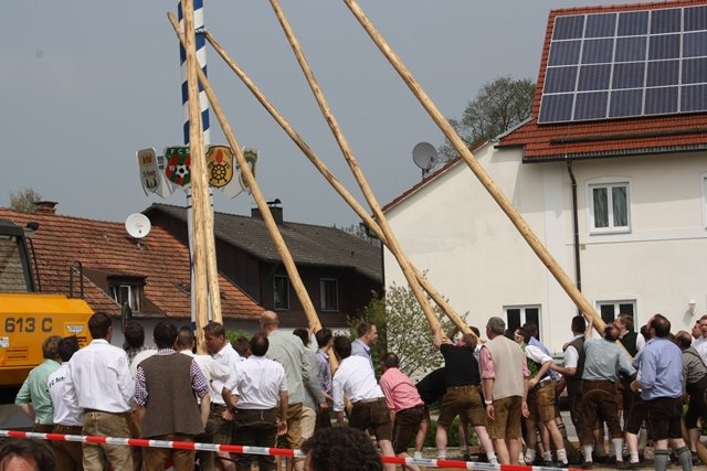 Maibaum 2013